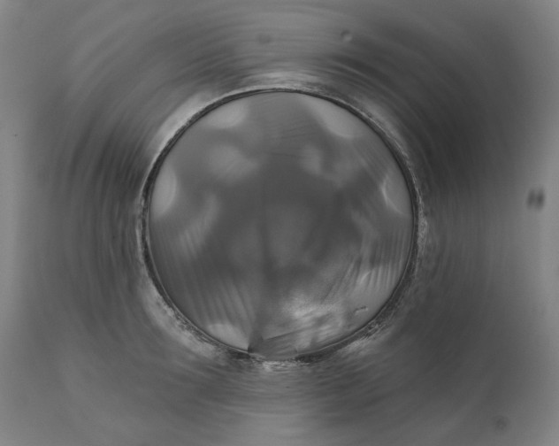 X0000111240899200907161338