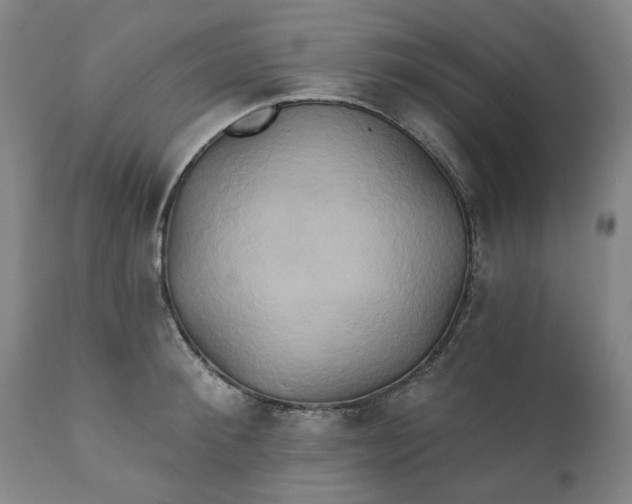 X0000111240900200907161338