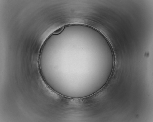 X0000111240901200907161338