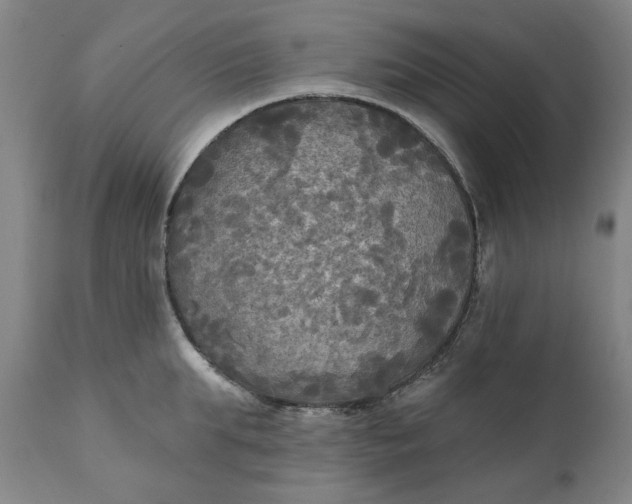 X0000111240903200907161338