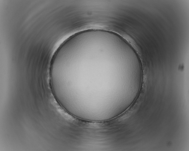 X0000111240904200907161338