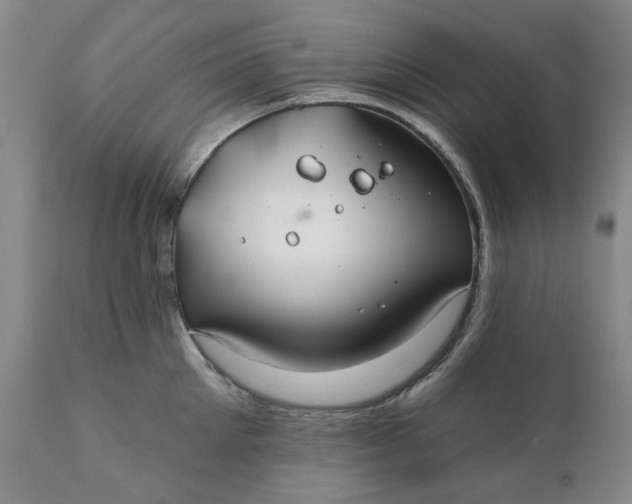 X0000111240905200907161338