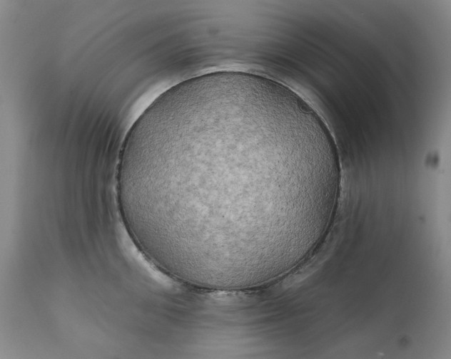 X0000111240906200907161338