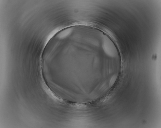 X0000111240907200907161338