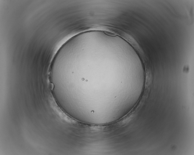 X0000111240908200907161338