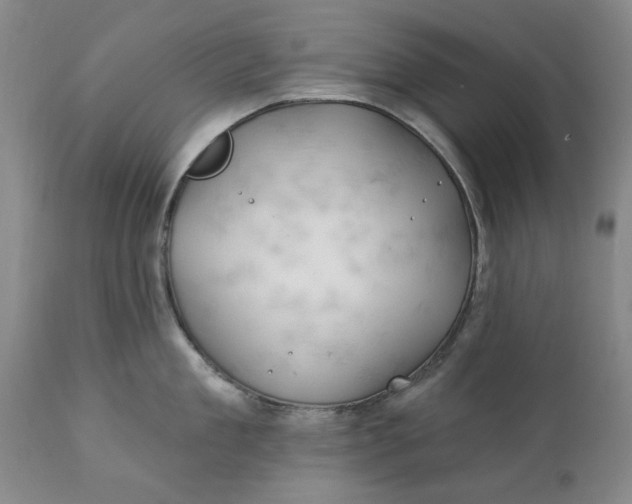 X0000111240909200907161338