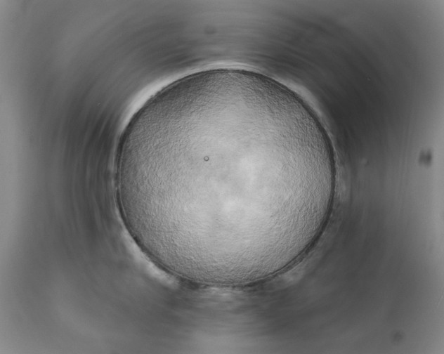 X0000111240910200907161338