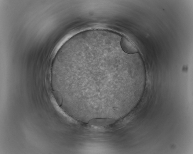 X0000111240911200907161338