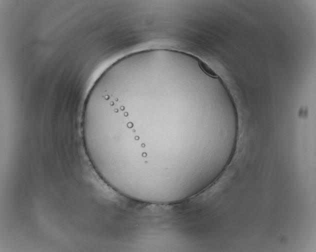 X0000111240912200907161338