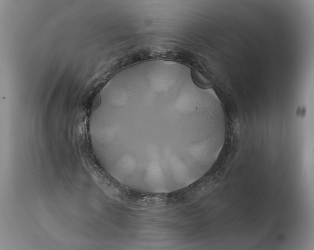 X0000111240914200907161337