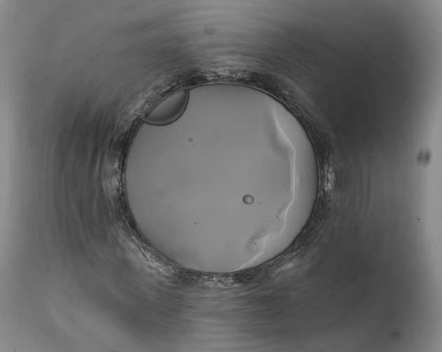 X0000111240915200907161337