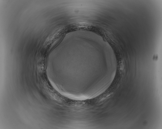 X0000111240916200907161337