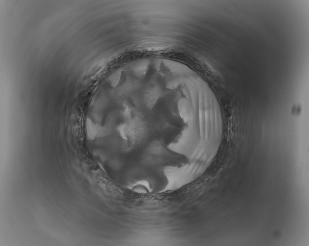 X0000111240917200907161337