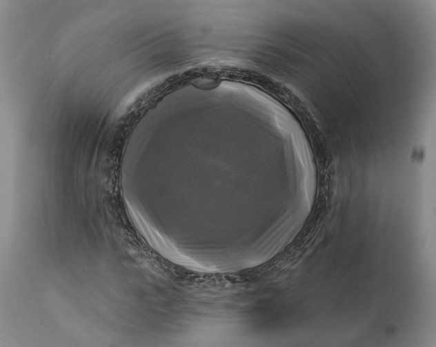 X0000111240919200907161337