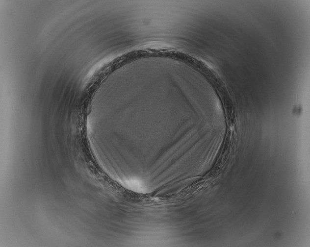 X0000111240920200907161337