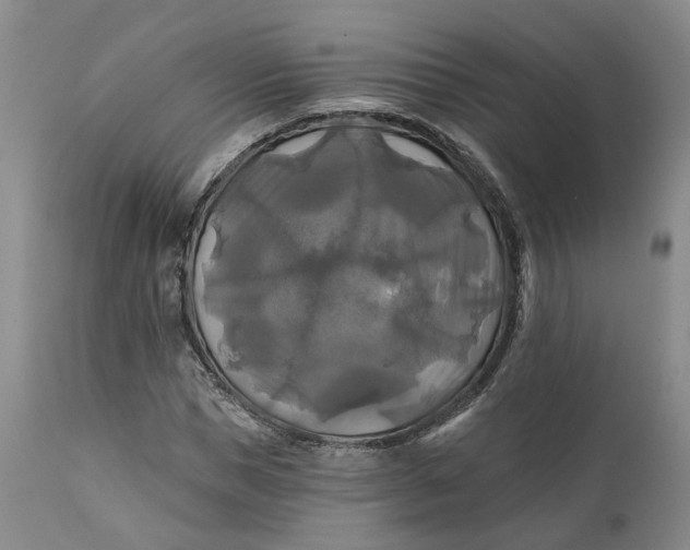 X0000111240921200907161337