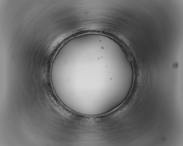 X0000111240922200907161337