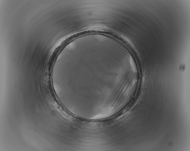 X0000111240923200907161337