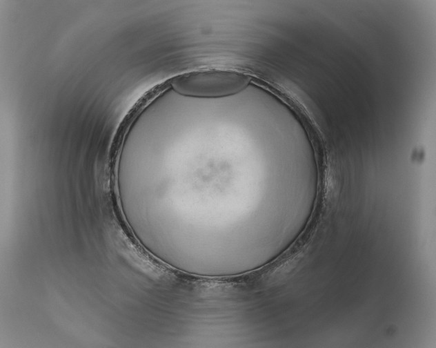 X0000111240924200907161337