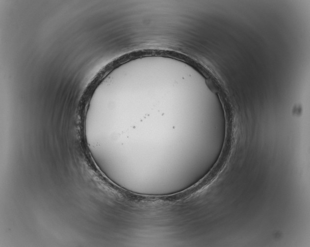 X0000111240926200907161337