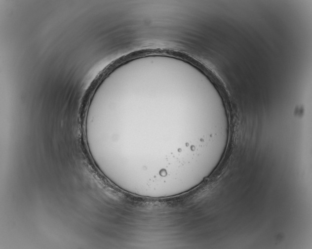 X0000111240927200907161337