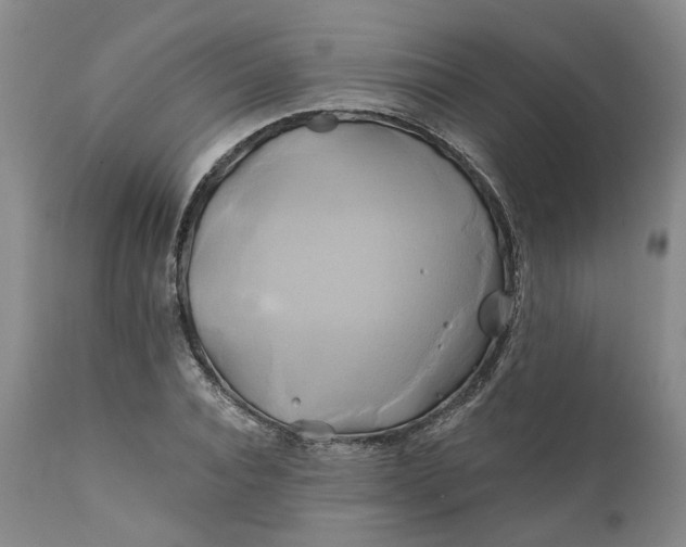 X0000111240928200907161337