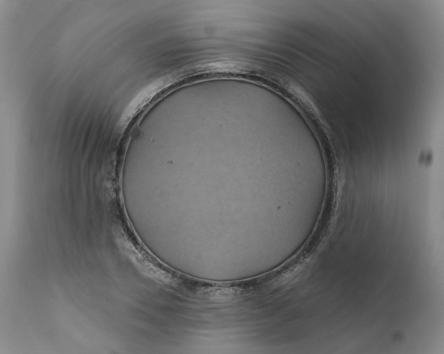 X0000111240930200907161337