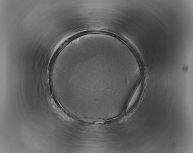 X0000111240932200907161337