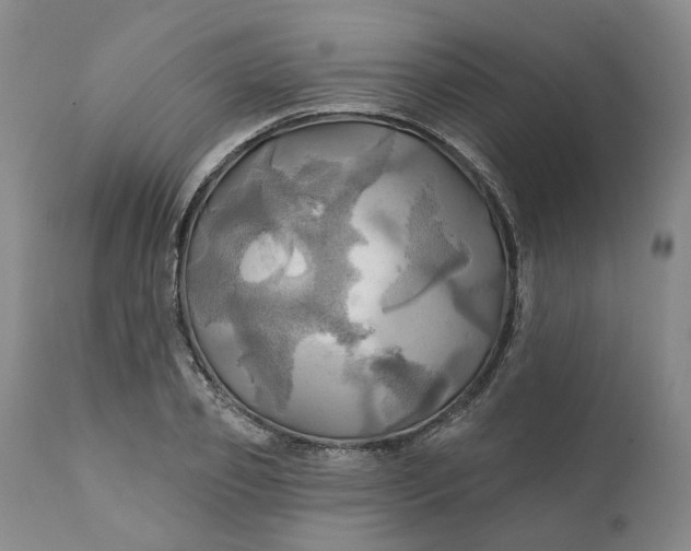 X0000111240933200907161337