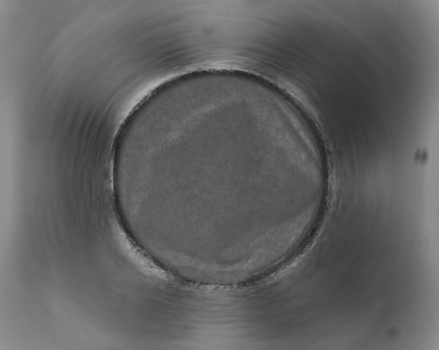 X0000111240934200907161337