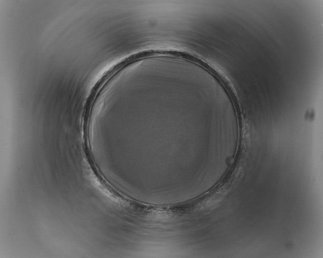 X0000111240935200907161337