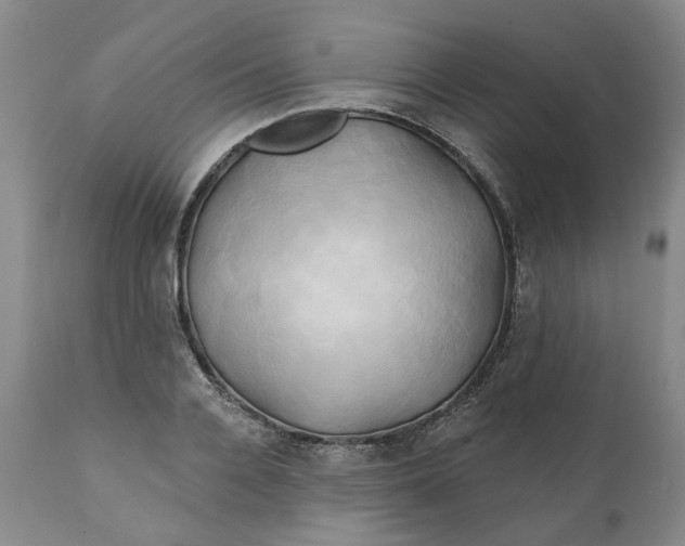 X0000111240936200907161337