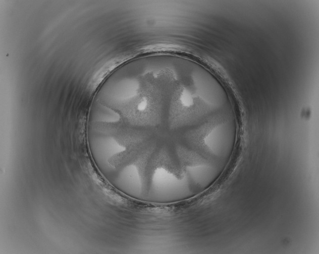 X0000111240937200907161337