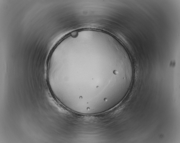 X0000111240940200907161337