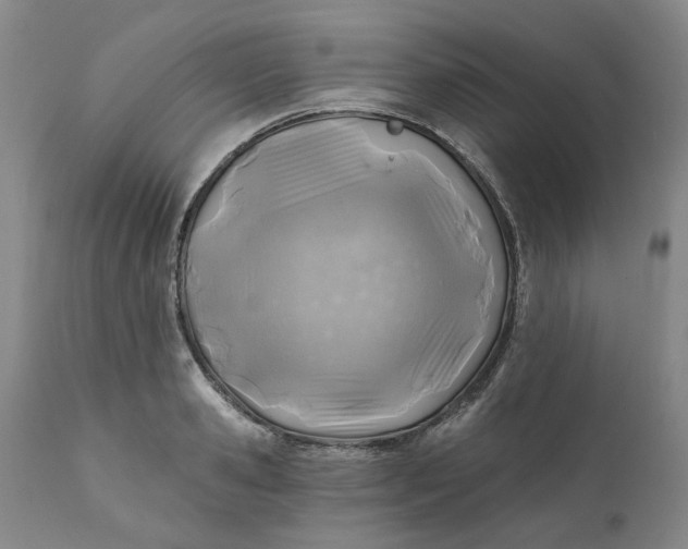 X0000111240941200907161337