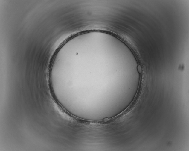 X0000111240942200907161337