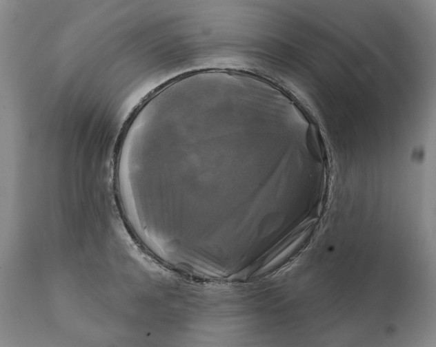 X0000111240944200907161338