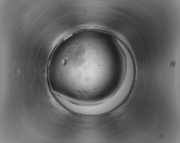 X0000111240946200907161338