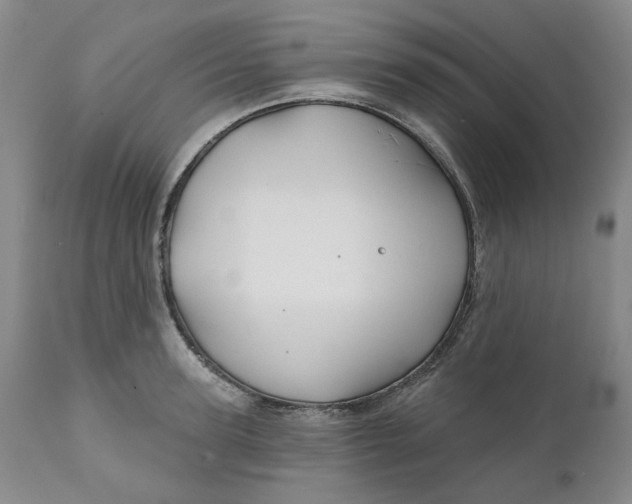 X0000111240947200907161338