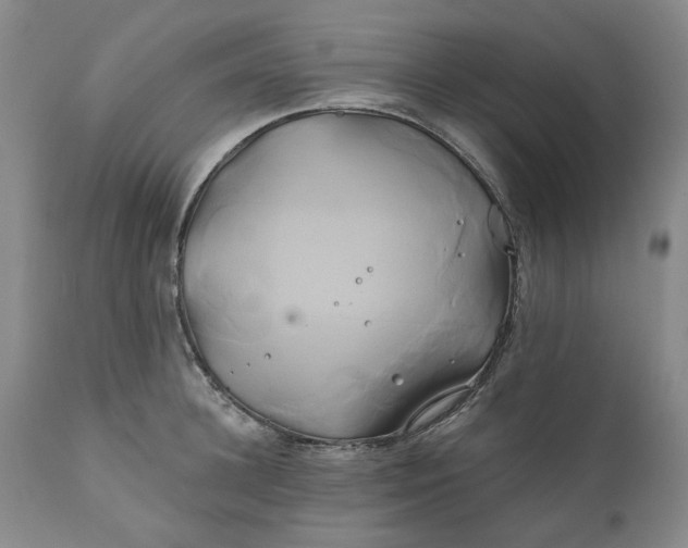 X0000111240948200907161338