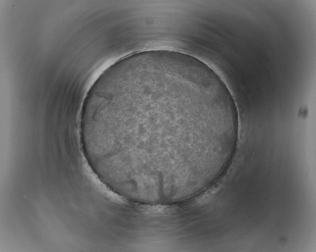 X0000111240949200907161338