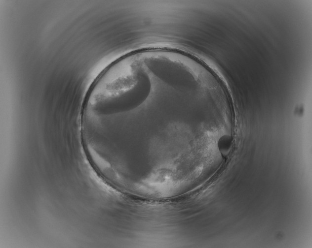 X0000111240951200907161338