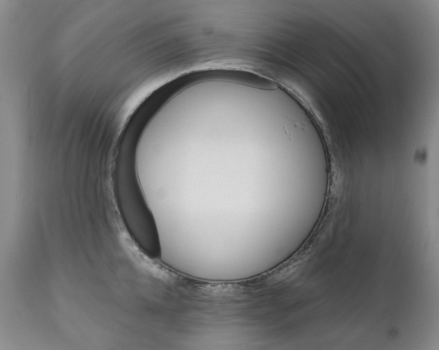 X0000111240952200907161338