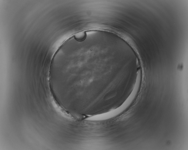 X0000111240954200907161338