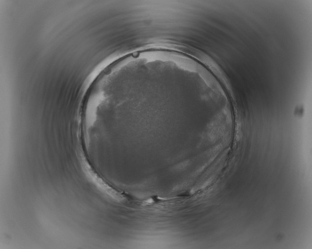 X0000111240955200907161338