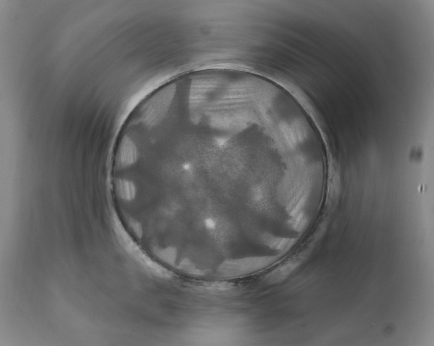 X0000111240957200907161338