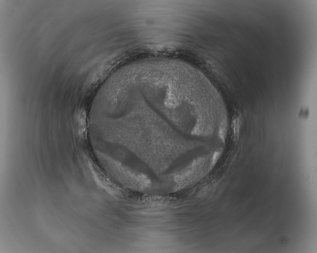 X0000111240963200907161337