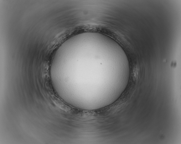 X0000111240964200907161337