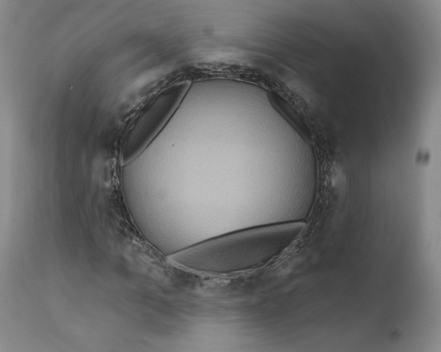 X0000111240965200907161337