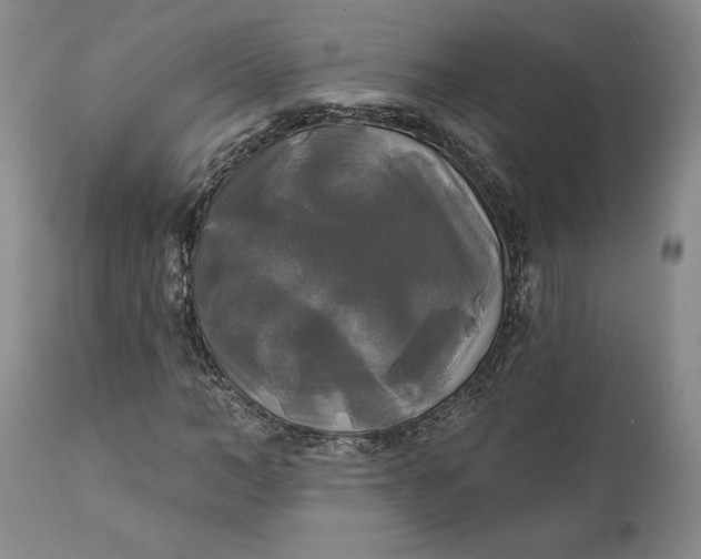 X0000111240966200907161337